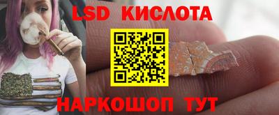 гашик Новодвинск