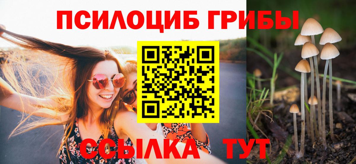 Псилоцибиновые грибы ЛСД  Галлюциногенные грибы Cubensis  как найти   Урус-Мартан  Вход с VPN 